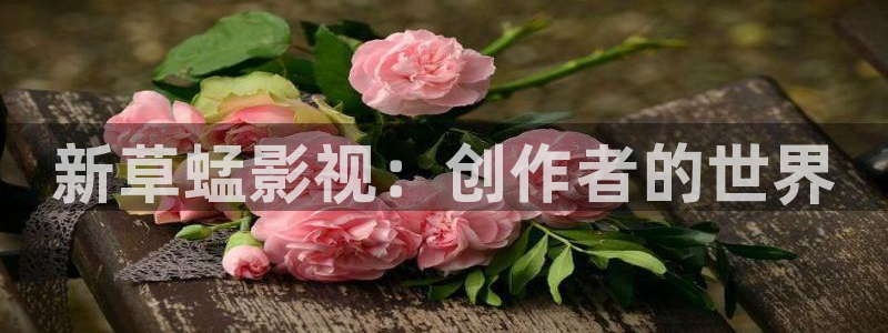 秋霞成人理论电影：新草蜢影视：创作者的世界