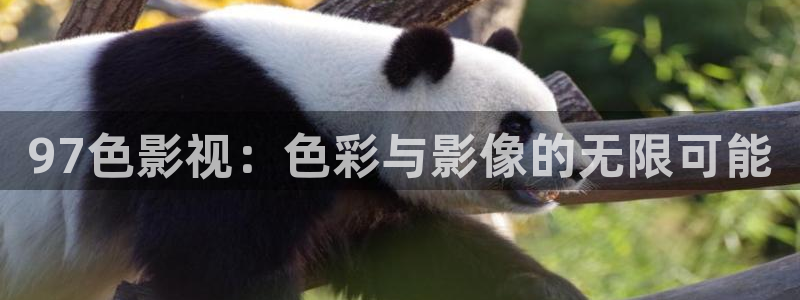 秋霞理论电影：97色影视：色彩与影像的无限可能