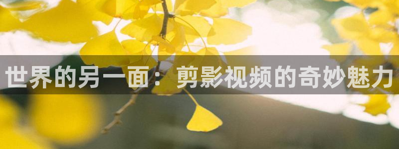 秋霞电影院午夜伦理片：世界的另一面：剪影视频的奇妙魅力