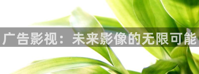 在线秋霞影院：广告影视：未来影像的无限可能