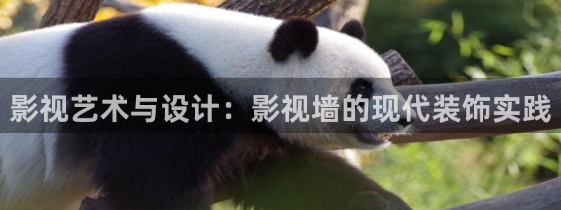 秋霞影视作品：影视艺术与设计：影视墙的现代装饰实践