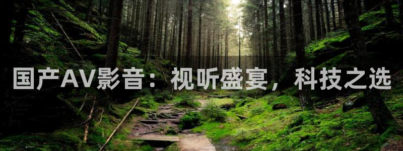 秋霞午夜影院在线观看：国产AV影音：视听盛宴，科技之选