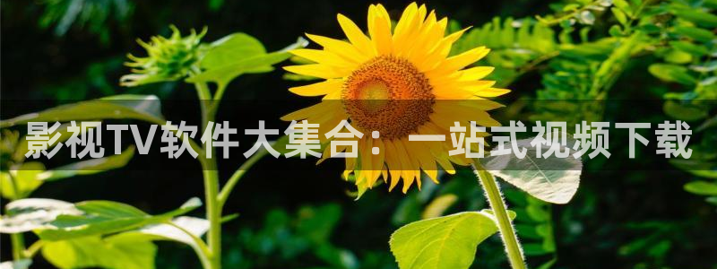 秋霞免费福利电影：影视TV软件大集合：一站式视频下载